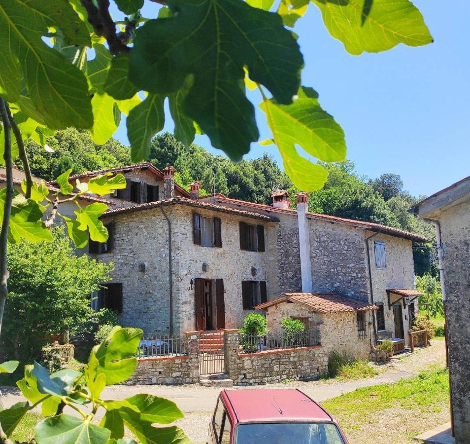 Cara House Tuscany - Zona Lucca Chiatri Exterior foto